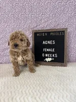 processed/a7b9d83f-cc74-472f-a476-597273806cd3/listing/99dc9bc3-c416-4c63-bc1d-3fef1c165961/16fb8f8f-ad39-4b84-b5b7-1bd4331831f0