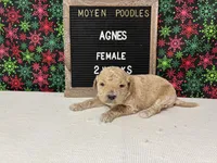 processed/a7b9d83f-cc74-472f-a476-597273806cd3/listing/99dc9bc3-c416-4c63-bc1d-3fef1c165961/21fca7eb-7d5f-4139-be97-aac91486b0e3