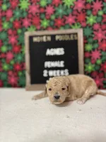 processed/a7b9d83f-cc74-472f-a476-597273806cd3/listing/99dc9bc3-c416-4c63-bc1d-3fef1c165961/40033ae5-90f3-465c-8c21-3e7a1bdfdb14