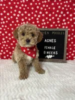 processed/a7b9d83f-cc74-472f-a476-597273806cd3/listing/99dc9bc3-c416-4c63-bc1d-3fef1c165961/ac628956-8730-4e47-88ed-fcb5e7c86263