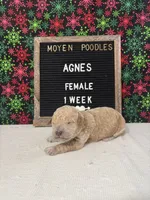 processed/a7b9d83f-cc74-472f-a476-597273806cd3/listing/99dc9bc3-c416-4c63-bc1d-3fef1c165961/b75650cc-b9a8-4bf0-9b1e-954b5dd22705