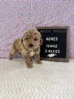 processed/a7b9d83f-cc74-472f-a476-597273806cd3/listing/99dc9bc3-c416-4c63-bc1d-3fef1c165961/e2f82d92-5f60-4e9d-9f9d-cb729d655478