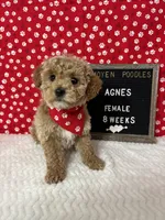 processed/a7b9d83f-cc74-472f-a476-597273806cd3/listing/99dc9bc3-c416-4c63-bc1d-3fef1c165961/f632eb5d-8a0a-4aac-8258-8862f8bb2bb0