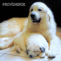 processed/a7bea6f3-4959-4c14-8a27-f4297d246de1/facility/33c12019-bfd2-4452-b0fe-ca72a3e0f7c6