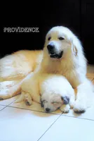 processed/a7bea6f3-4959-4c14-8a27-f4297d246de1/facility/33c12019-bfd2-4452-b0fe-ca72a3e0f7c6