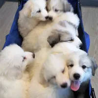 processed/a7bea6f3-4959-4c14-8a27-f4297d246de1/facility/3891d1da-f460-4517-8a07-f7b7f4b91441