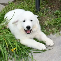 processed/a7bea6f3-4959-4c14-8a27-f4297d246de1/facility/47fac54b-c599-4736-b82a-fae9442ac524