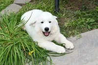 processed/a7bea6f3-4959-4c14-8a27-f4297d246de1/facility/47fac54b-c599-4736-b82a-fae9442ac524