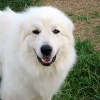 processed/a7bea6f3-4959-4c14-8a27-f4297d246de1/facility/9faec757-a7e0-4a83-be3e-c355eb0f7f6e