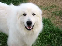 processed/a7bea6f3-4959-4c14-8a27-f4297d246de1/facility/9faec757-a7e0-4a83-be3e-c355eb0f7f6e