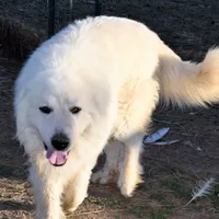 processed/a7bea6f3-4959-4c14-8a27-f4297d246de1/facility/b0502014-fab6-4b24-846a-4a0d54cb4953