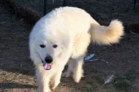 processed/a7bea6f3-4959-4c14-8a27-f4297d246de1/facility/b0502014-fab6-4b24-846a-4a0d54cb4953