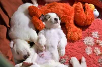 processed/a7bea6f3-4959-4c14-8a27-f4297d246de1/facility/e659f2ae-049c-4bb9-b83d-c5c791383064