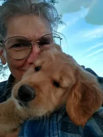 Maggie , a female Golden Retriever for sale in Sandy Ridge, NC – Photo 5 of 9