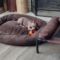 Dexter, a male American Hairless Terrier for sale in Tulsa, OK – Photo 8 of 8