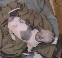 processed/a7d735fc-da56-43e6-bd58-7dff00eb10f9/listing/3844b7d1-4a92-436b-b155-a7dee8b52081/aadcbc31-2725-402d-bc1e-be52fea85dfd