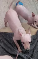 processed/a7d735fc-da56-43e6-bd58-7dff00eb10f9/listing/50706468-e18a-4dc9-ae38-c5db417dbbae/cb74118e-0383-4395-847f-52195d7df570