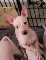 processed/a7d735fc-da56-43e6-bd58-7dff00eb10f9/listing/50706468-e18a-4dc9-ae38-c5db417dbbae/f90a056a-3130-4d91-975a-b55655becfbf