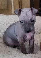 processed/a7d735fc-da56-43e6-bd58-7dff00eb10f9/listing/7c75e453-c044-4da7-a896-71a6e096290e/325a603b-4b63-44b1-92a4-e66e396b0bfa