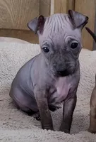 processed/a7d735fc-da56-43e6-bd58-7dff00eb10f9/listing/7c75e453-c044-4da7-a896-71a6e096290e/6fbab66c-aebd-4bcb-a584-d3500ff7c8bf