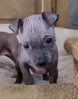 processed/a7d735fc-da56-43e6-bd58-7dff00eb10f9/listing/7c75e453-c044-4da7-a896-71a6e096290e/7b788a5b-955a-46db-8195-731011b75de8