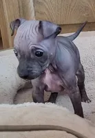 processed/a7d735fc-da56-43e6-bd58-7dff00eb10f9/listing/7c75e453-c044-4da7-a896-71a6e096290e/8cdd1708-0c72-448a-9c39-0861af05fa29