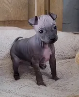 processed/a7d735fc-da56-43e6-bd58-7dff00eb10f9/listing/7c75e453-c044-4da7-a896-71a6e096290e/a4fc1f60-162a-4a3f-b7cf-23f540463d20