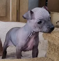 processed/a7d735fc-da56-43e6-bd58-7dff00eb10f9/listing/7c75e453-c044-4da7-a896-71a6e096290e/a581761b-5809-4f2c-b3d4-5fc2d12a8faf