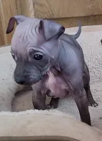 processed/a7d735fc-da56-43e6-bd58-7dff00eb10f9/listing/7c75e453-c044-4da7-a896-71a6e096290e/b4e3d229-601c-45a9-8549-45c541406930