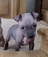 processed/a7d735fc-da56-43e6-bd58-7dff00eb10f9/listing/7c75e453-c044-4da7-a896-71a6e096290e/fb65ebb2-e1a4-4a23-9855-c30a49c508e1