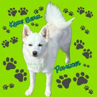 processed/a7d8137b-e93c-49ed-9cd8-9272f41bd568/facility/3c1427ce-1713-4e13-81a3-2689731b36cf