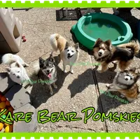 processed/a7d8137b-e93c-49ed-9cd8-9272f41bd568/facility/4b7116c8-f2e9-4a8b-b3a8-5ce2877a8a02