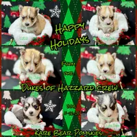 processed/a7d8137b-e93c-49ed-9cd8-9272f41bd568/facility/78d249ba-d1a9-4b45-a9bf-3b99ad5a73ec