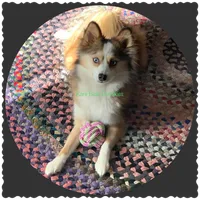 processed/a7d8137b-e93c-49ed-9cd8-9272f41bd568/facility/ac206c64-a788-46c1-9020-bba2e42314c7