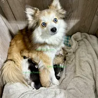 processed/a7d8137b-e93c-49ed-9cd8-9272f41bd568/facility/b2b200b1-96c2-492a-a976-569aaf85cb99