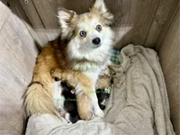 processed/a7d8137b-e93c-49ed-9cd8-9272f41bd568/facility/b2b200b1-96c2-492a-a976-569aaf85cb99