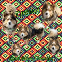 processed/a7d8137b-e93c-49ed-9cd8-9272f41bd568/facility/b99d09a2-a669-4059-a823-60bf131a8baf