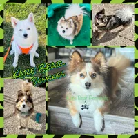 processed/a7d8137b-e93c-49ed-9cd8-9272f41bd568/facility/e94730c0-3844-4c2f-8529-5a18fd141f3c