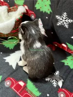 processed/a7d8137b-e93c-49ed-9cd8-9272f41bd568/listing/2740b3b9-c010-42ee-b26b-39f014d27878/12628e0e-bbe5-4189-aa64-2cb2c378c1a2