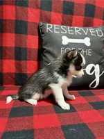 processed/a7d8137b-e93c-49ed-9cd8-9272f41bd568/listing/2740b3b9-c010-42ee-b26b-39f014d27878/24eff5f8-fee7-4b32-b50b-007c5681946d