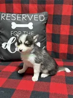 processed/a7d8137b-e93c-49ed-9cd8-9272f41bd568/listing/2740b3b9-c010-42ee-b26b-39f014d27878/ab5adcba-88c3-4d10-a4d4-0060a53a530b