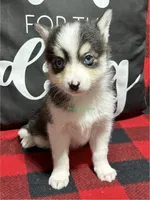 processed/a7d8137b-e93c-49ed-9cd8-9272f41bd568/listing/2740b3b9-c010-42ee-b26b-39f014d27878/bccae623-1c58-4515-8b56-8deeff50f36d