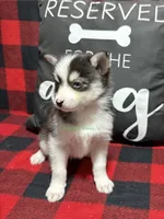 processed/a7d8137b-e93c-49ed-9cd8-9272f41bd568/listing/2740b3b9-c010-42ee-b26b-39f014d27878/d408e29e-ef81-4e8d-9c45-91e39d0cb149