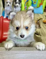 processed/a7d8137b-e93c-49ed-9cd8-9272f41bd568/listing/c5f3fc94-1347-48f6-98a8-fc671a71e704/12904045-8e27-473a-b9bd-c5ee9ffbc760