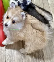 processed/a7d8137b-e93c-49ed-9cd8-9272f41bd568/listing/c5f3fc94-1347-48f6-98a8-fc671a71e704/2c85283a-52d2-4f91-872c-99fdb08bcd9e