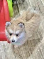 processed/a7d8137b-e93c-49ed-9cd8-9272f41bd568/listing/c5f3fc94-1347-48f6-98a8-fc671a71e704/3891de32-12f9-44a9-9916-ea317af6d141