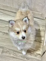 processed/a7d8137b-e93c-49ed-9cd8-9272f41bd568/listing/c5f3fc94-1347-48f6-98a8-fc671a71e704/49cebf86-b5e4-4c02-a772-454ddf78f0ab