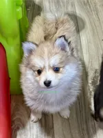 processed/a7d8137b-e93c-49ed-9cd8-9272f41bd568/listing/c5f3fc94-1347-48f6-98a8-fc671a71e704/4de6b5a8-b859-45bb-91f8-faa1d170528a