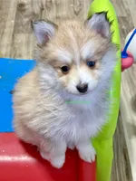 processed/a7d8137b-e93c-49ed-9cd8-9272f41bd568/listing/c5f3fc94-1347-48f6-98a8-fc671a71e704/86a6a58f-2d51-4b62-ac3e-aa7576ca98fd