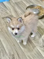 processed/a7d8137b-e93c-49ed-9cd8-9272f41bd568/listing/c5f3fc94-1347-48f6-98a8-fc671a71e704/af963e4e-0c75-44f4-9895-18385ad643da